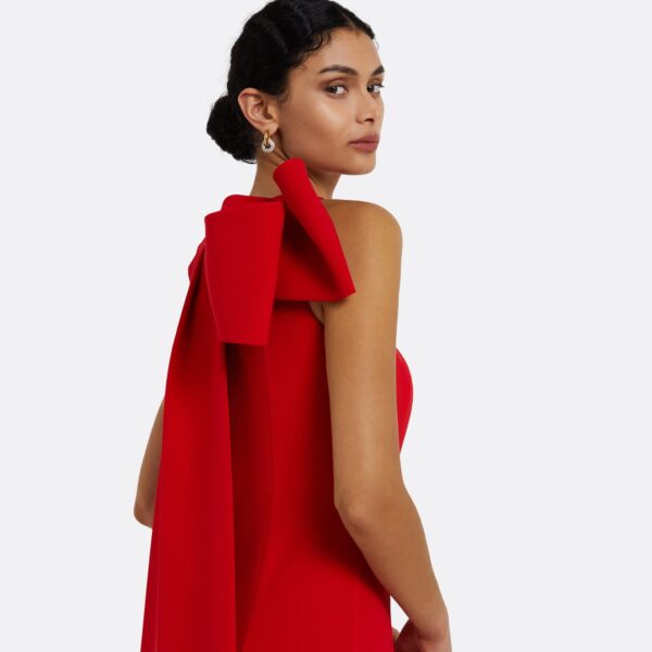 Celestia Cherry Red Long Dress - Image 4