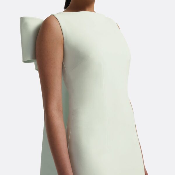 Celestia Spearmint Long Dress - Image 4