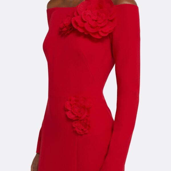 Rory Long Dress in Crimson with Crimson Appliqué - Image 4