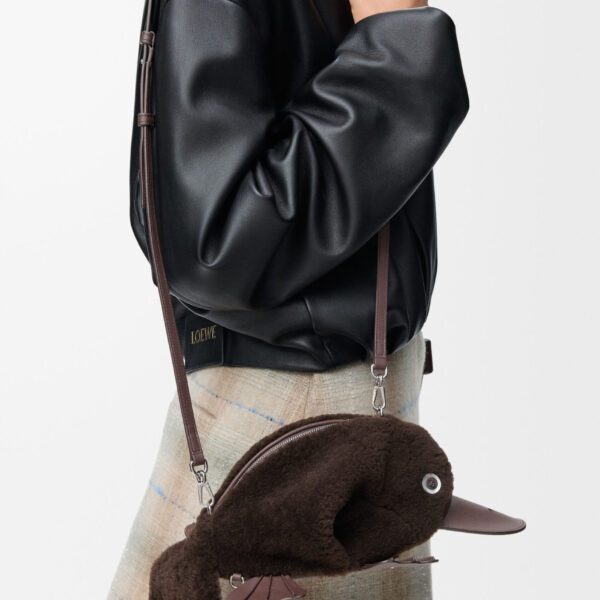 LOEWE bags