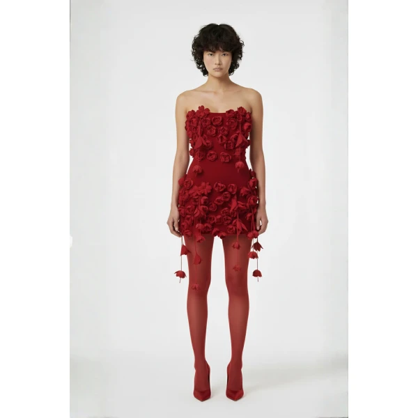 Loulou The Brand Red Rose Mini Dress, view 2