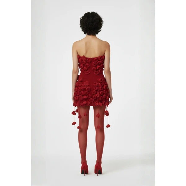 Loulou The Brand Red Rose Mini Dress, view 3