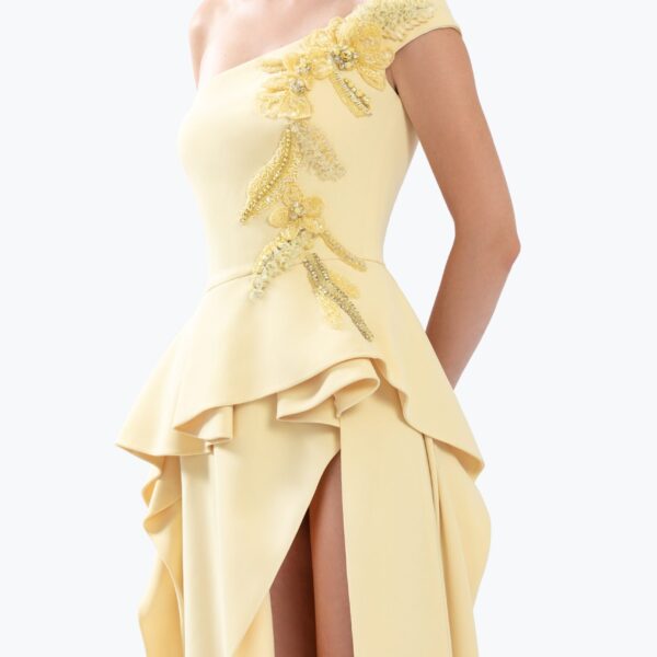 Saiid Kobeisy Long crepe embellished dress