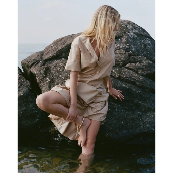 Veronica Beard Dresses