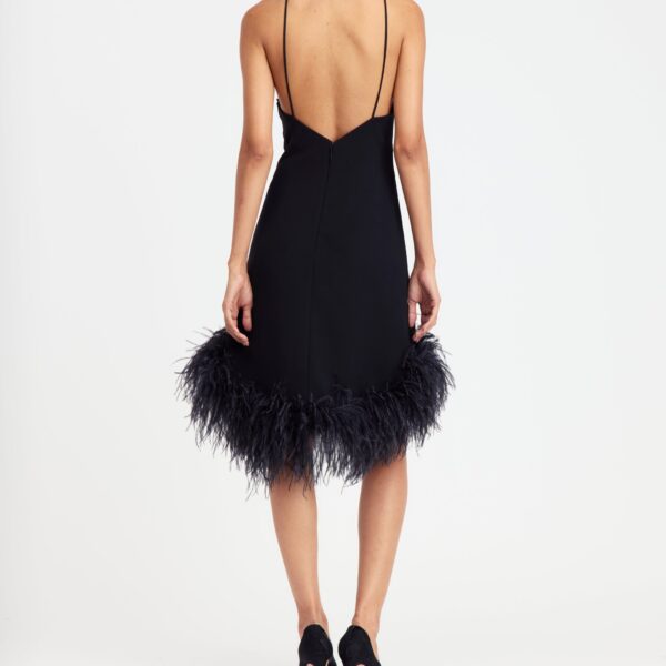 Elevate your elegance in this 16Arlington  from the luxury feather dress edit