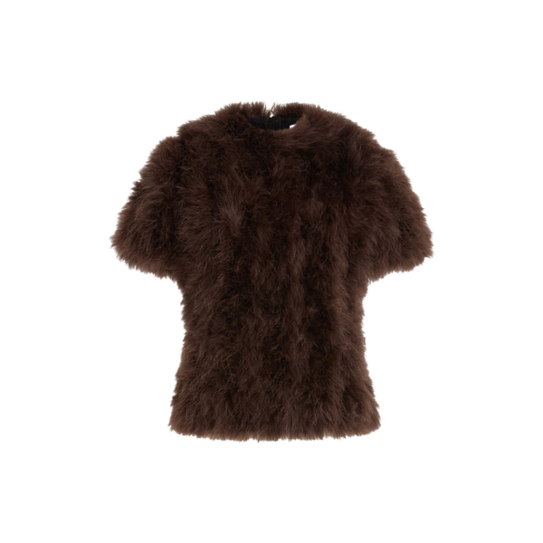 Elevate your elegance in this 16Arlington  from the luxury feather dress edit