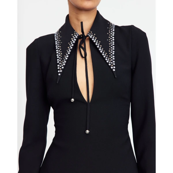 Elevate your elegance in this 16Arlington  from the luxury feather dress edit