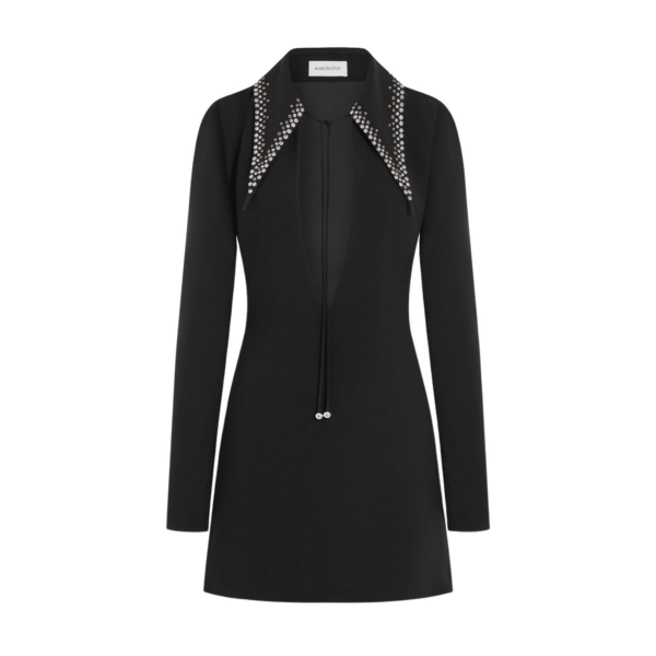Elevate your elegance in this 16Arlington  from the luxury feather dress edit