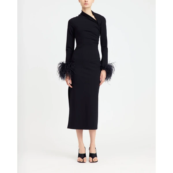 Elevate your elegance in this 16Arlington  from the luxury feather dress edit