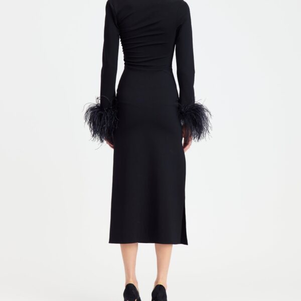 Elevate your elegance in this 16Arlington  from the luxury feather dress edit