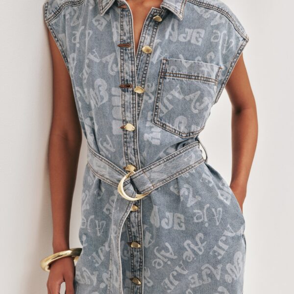 Cary Denim Mini Dress