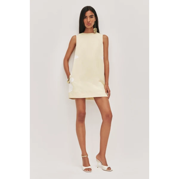 Aje Freddie Mini Dress, view 2