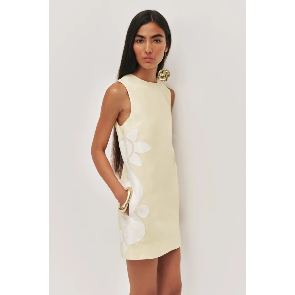 Aje Freddie Mini Dress, view 4