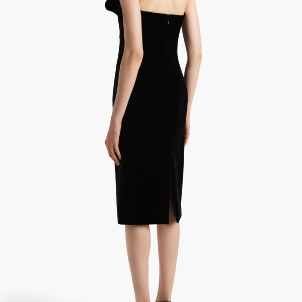 available now at Coveti.