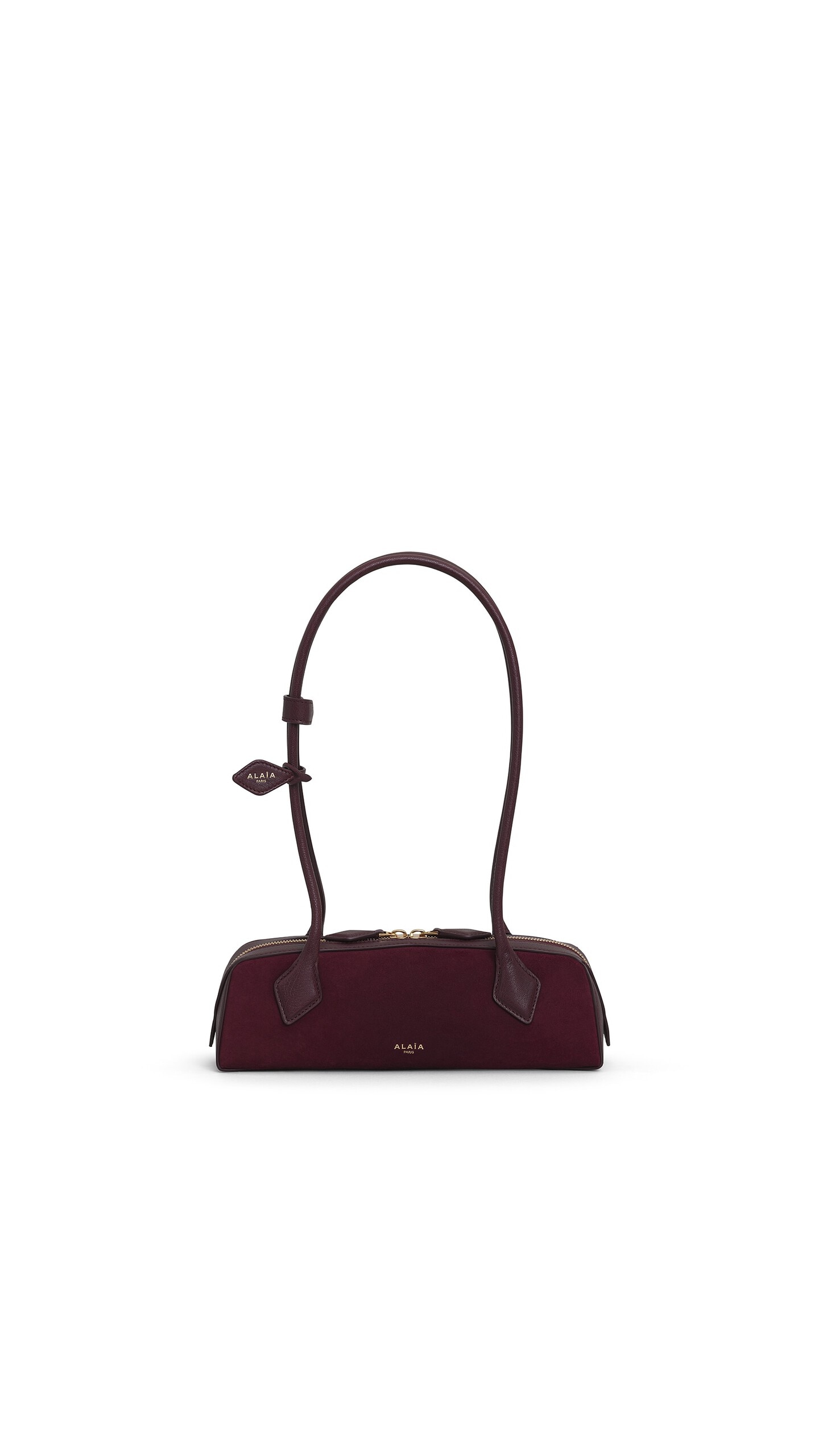 Alaia Le Teckel Small Bi-Material Bag In Leather
