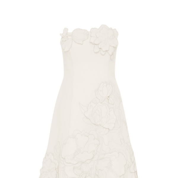 Leo Lin Ayla Appliqué Bustier Mini Dress