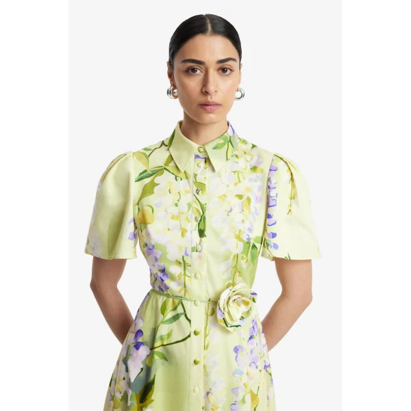 Pointed shirt collar