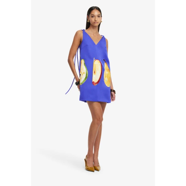 Premium mini embroidered dress