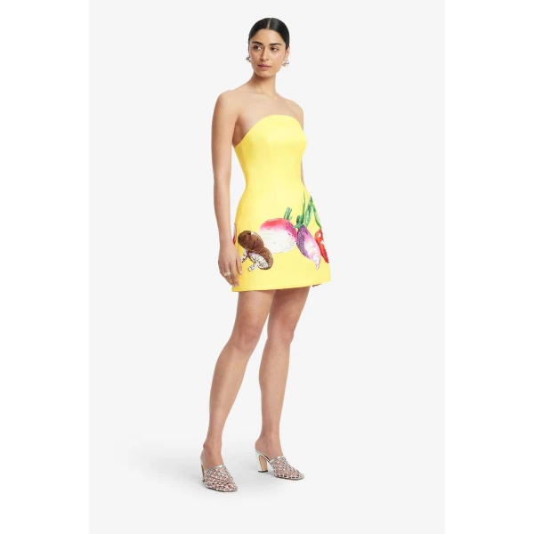 Premium printed mini dress