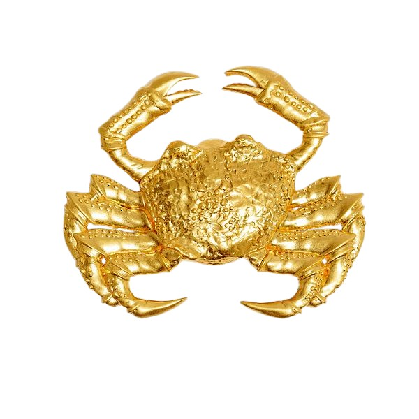 Schiaparelli Cancer Brooch