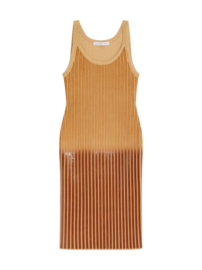 Schiaparelli Glossy Gradient Knitted Dress