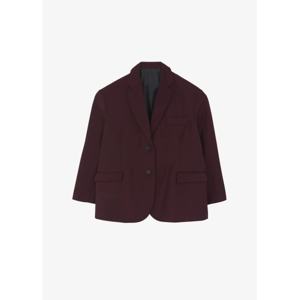The Frankie Shop Frankie Oversized Boyfriend Blazer – Burgundy, view 7