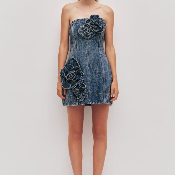 Angelina Denim Mini Dress