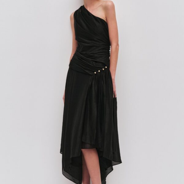 Capture Maxi Dress