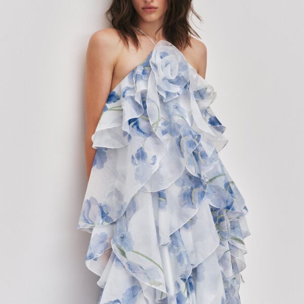 Pandorea Layered Maxi Dress