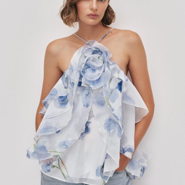 Pandorea Layered Top
