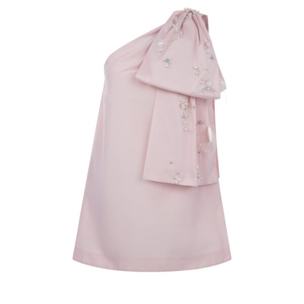 Bernadette Mini Dress Winnie Embroidered