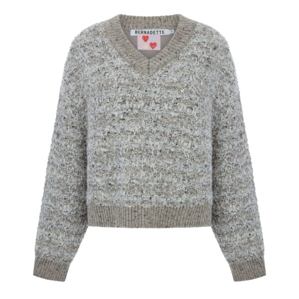 Bernadette Pull V-Neck Tweety