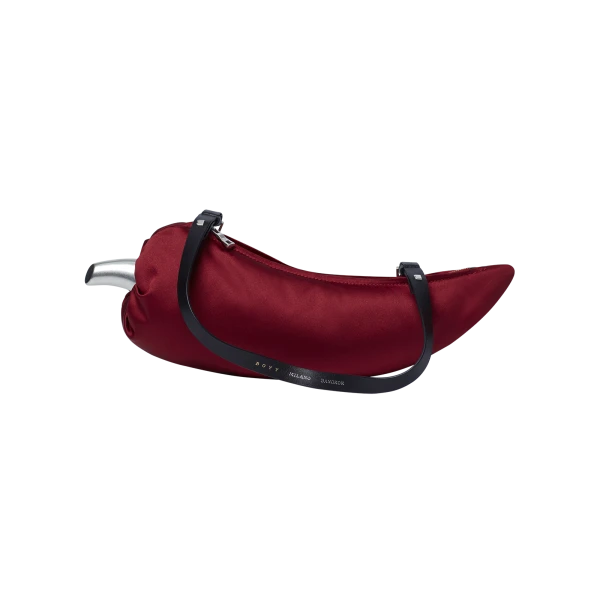Chili - Boyy Bags - Oversized Buckle Bag - Shop at Coveti