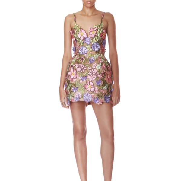 Iris Floral Aria Pink Purple Multi Mini Dress
