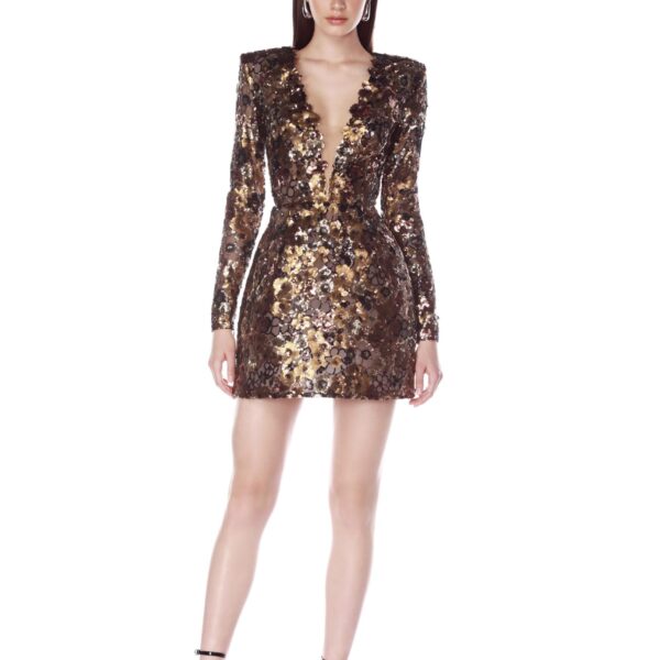 Isabella Long Sleeve Mini Dress
