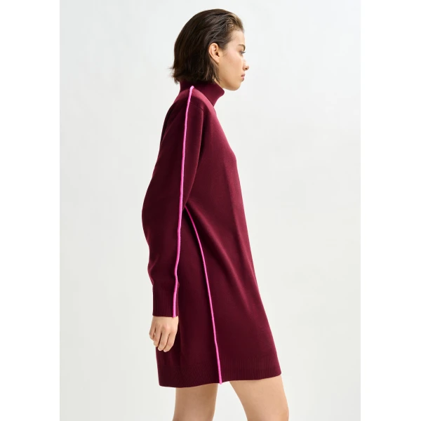 Essentiel Antwerp Burgundy and pink turtleneck wool-blend mini dress with contrast stripe, view 5