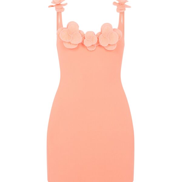 David Koma 3D Lace Flower Mini Dress