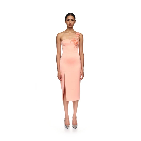 David Koma dress