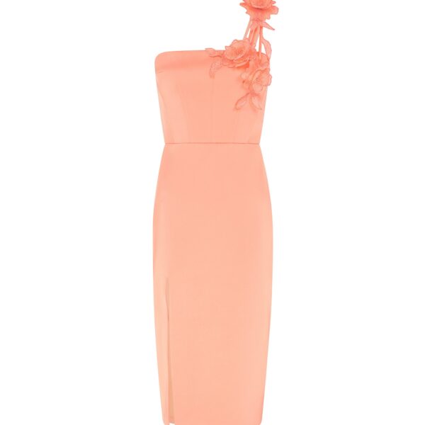 David Koma Asymmetric Lace Rose Satin Midi Dress