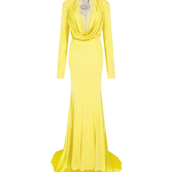 David Koma Crystal Rose Detail Gown In Yellow