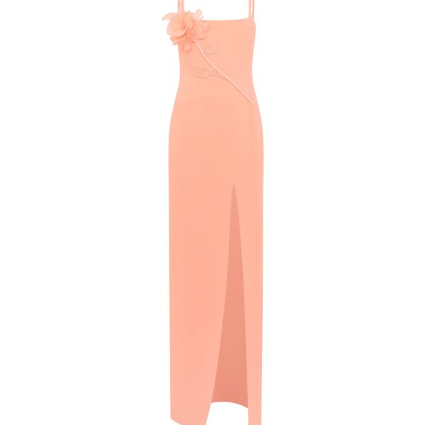 David Koma Lace Rose Embroidered Gown In Peach