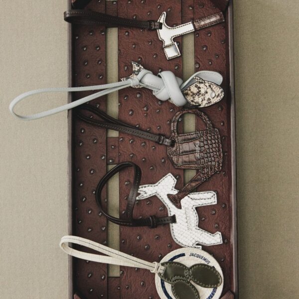 Jacquemus The plate of olives - Jacquemus Totes & Top-Handle Bags - Le Chiquito Style - Shop at Coveti