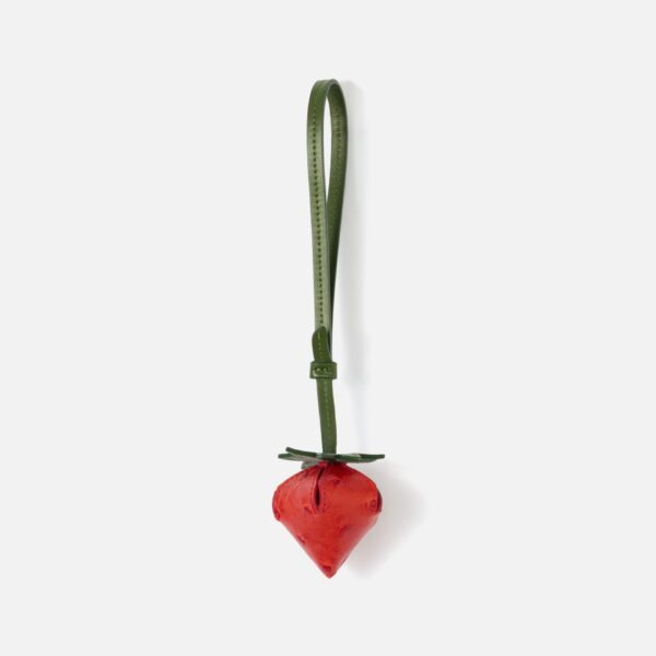 Jacquemus The strawberry - Jacquemus Totes & Top-Handle Bags - Le Chiquito Style - Shop at Coveti