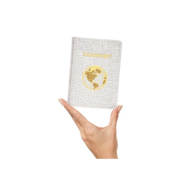 Judith Leiber Traveler Silver - Judith Leiber Crystal Clutch - Luxury Evening Bag - Shop at Coveti