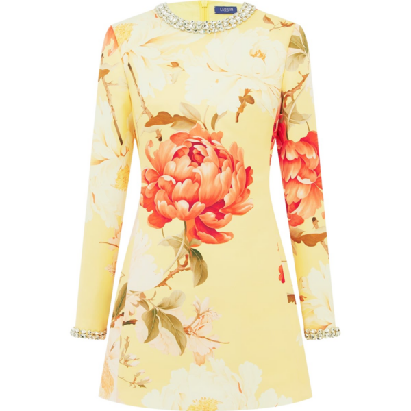 Leo Lin Aliza Embellished Long Sleeve Mini Dress - Leo Lin Dress - Australian Luxury Fashion - Shop at Coveti