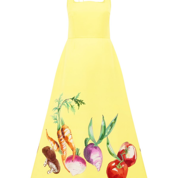 Leo Lin Rianne Appliqué Maxi Dress - Leo Lin Dress - Australian Luxury Fashion - Shop at Coveti