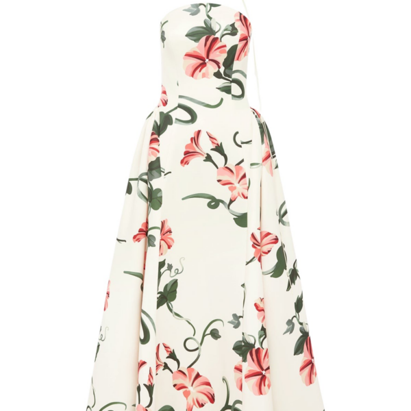 Leo Lin Violet Bustier Maxi Dress - Leo Lin Dress - Australian Luxury Fashion - Shop at Coveti
