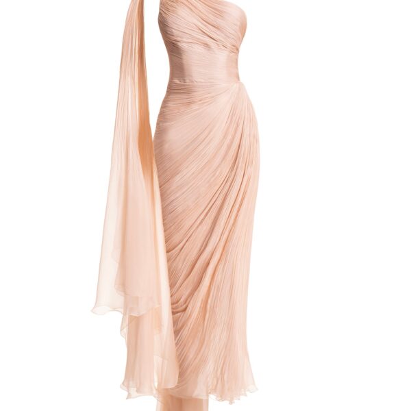 Maria Lucia Hohan gown