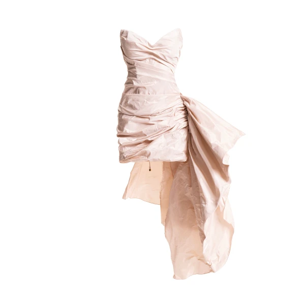 Maria Lucia Hohan gown