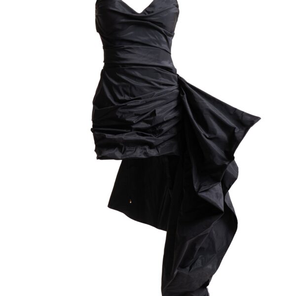 Maria Lucia Hohan gown